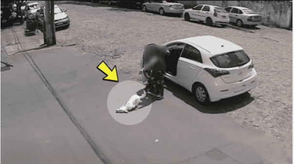 Poor Dog Thrown From a Car and Left Unable to Walk